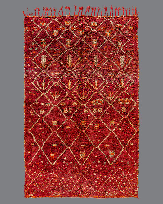 Moroccan Aït Sgougou AG05