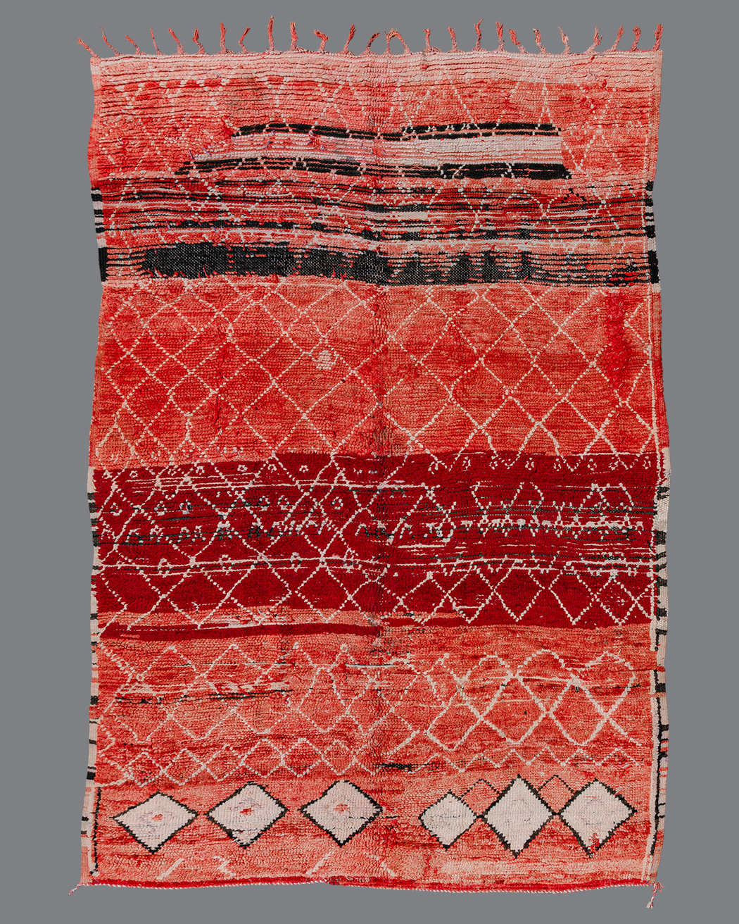 Moroccan Boujad BJ87
