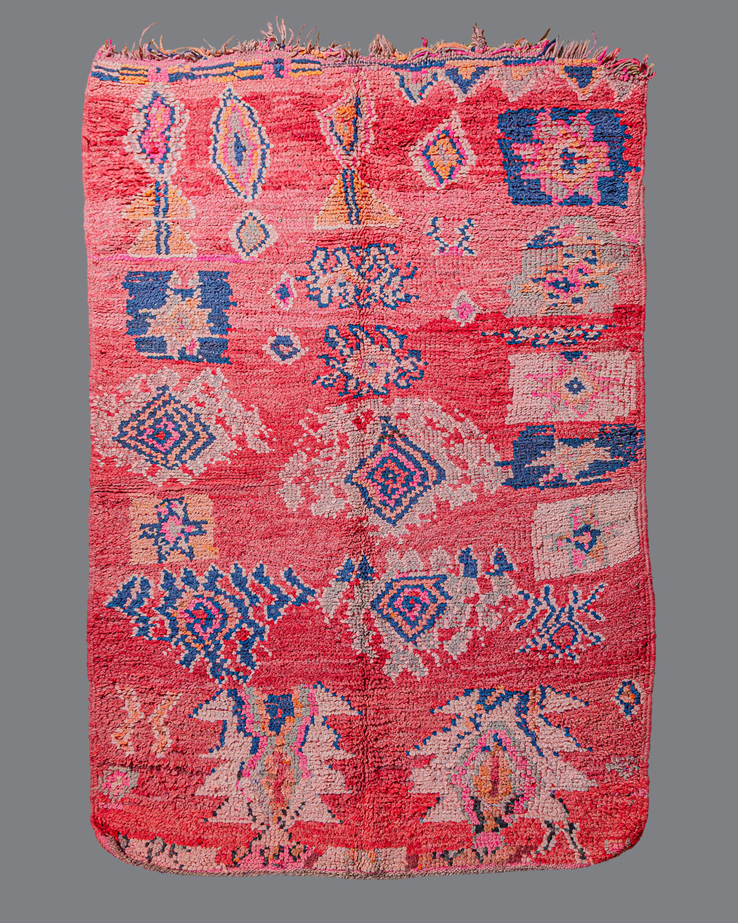 Moroccan Boujad BJ_136