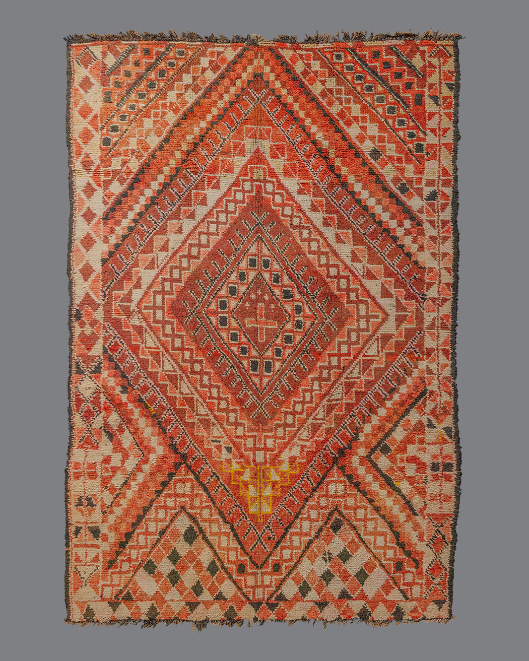 Moroccan Chiadma CA11