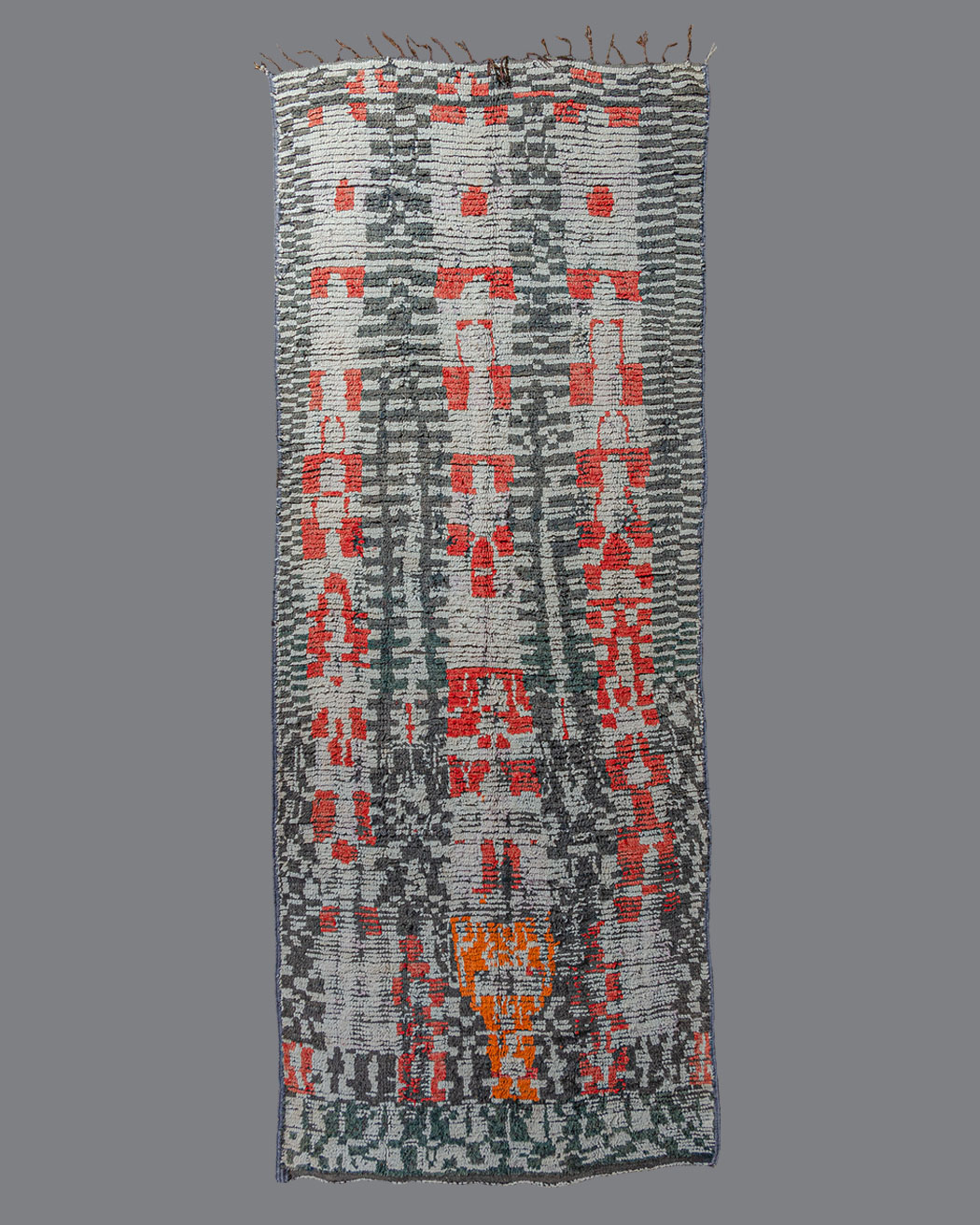Moroccan Zenaga ZN01